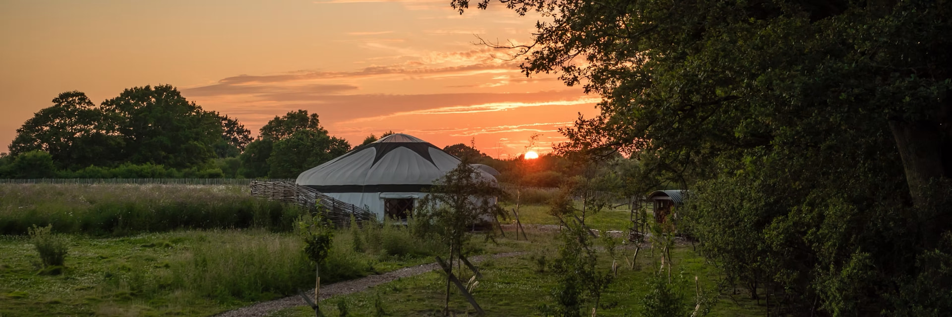 Countryside rewilding estate in Sussex